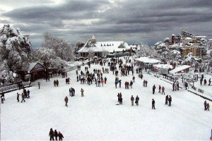 ALT